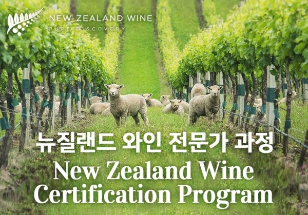 [05/08] New Zealand 와인 전문가 과정