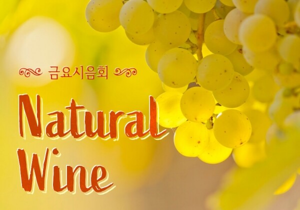 [03/19] 제53회 - Natural Wine