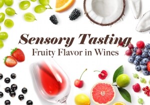 [01/19] Sensory Tasting - Fruity Flavor in Wines