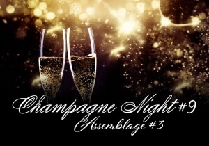 [04/12] Champagne Night #9 - Assemblage #3