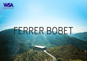 [04/23] WSA Brand Day - Ferrer Bobet