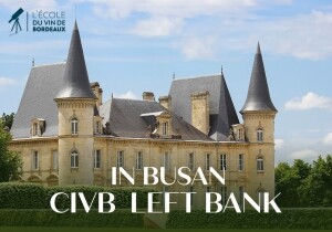 [05/12] CIVB BORDEAUX Left Bank - Busan